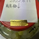 今年も南高梅でつけました