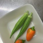 我が家の野菜