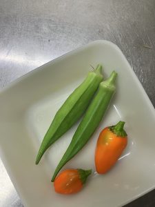 我が家の野菜