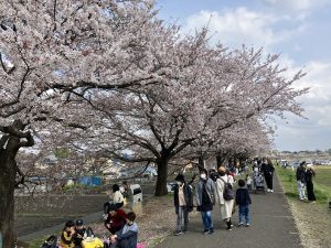 桜祭りもやってました