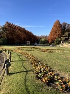 県立相模原公園