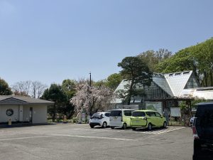 東京都薬用植物園