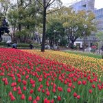 食後のお散歩横浜公園