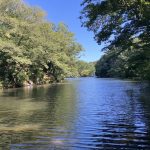 静かで穏やかな湖でした