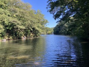 静かで穏やかな湖でした