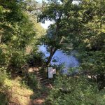 見えてきました！