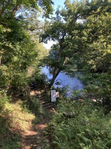 見えてきました！