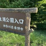 震生湖に行ってみます！