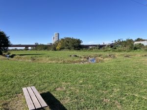 懐かしの多摩川