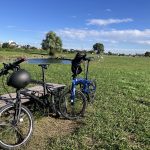 多摩川サイクリング