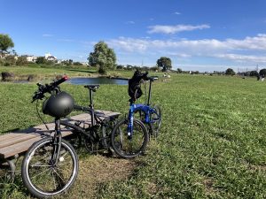 多摩川サイクリング
