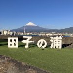 田子の裏からの富士山