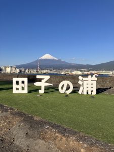 田子の裏からの富士山