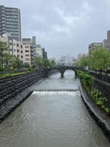 翌朝、豪雨の中眼鏡橋へ