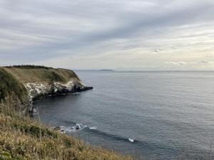 白いのは多分海鳥のフン