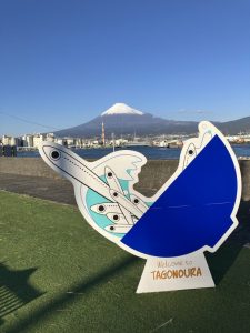 しらすどんが有名！