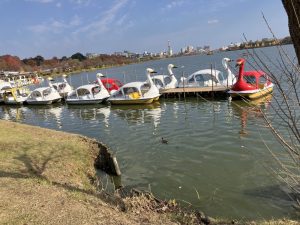 今昔の憩いの干潟