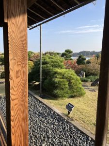 千波湖が見えます