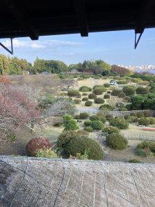 楽寿楼からの長め