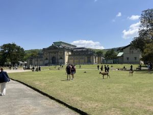 奈良公園の奈良国立博物館