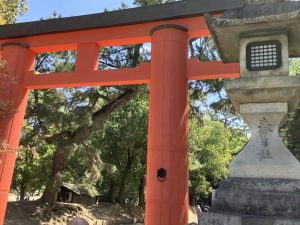 春日社
