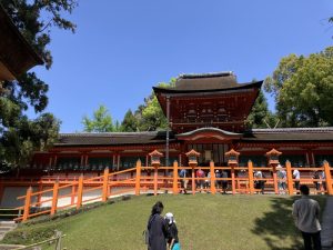 世界遺産の春日大社と大杉