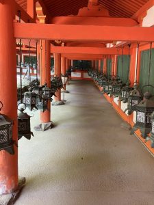 奉納された三千基の灯籠