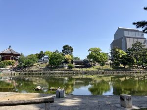 興福寺横の猿沢池。