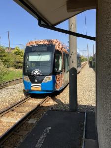 帰りの電車は獅子舞列車