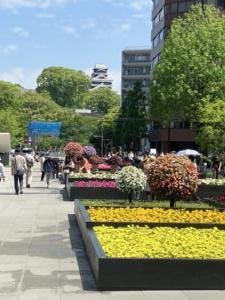 熊本城を望む花壇