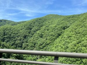 久々の種山高原を越え